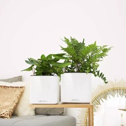 Macetero cube glossy Lechuza