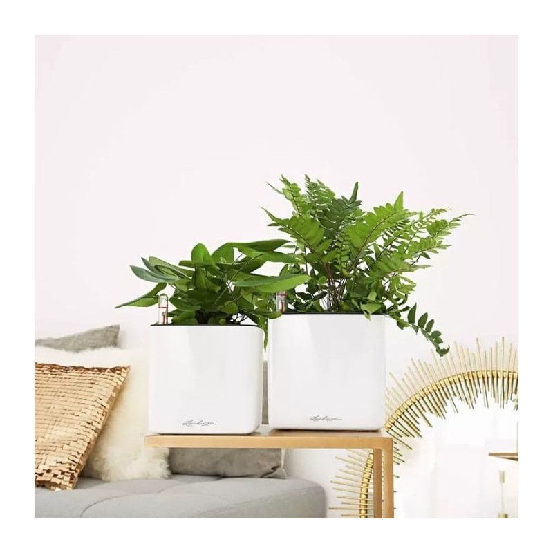 Macetero cube glossy Lechuza