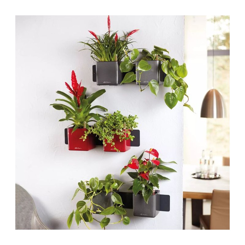 Green Wall Home Kit Glossy