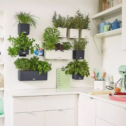 Green Wall Home Kit Color