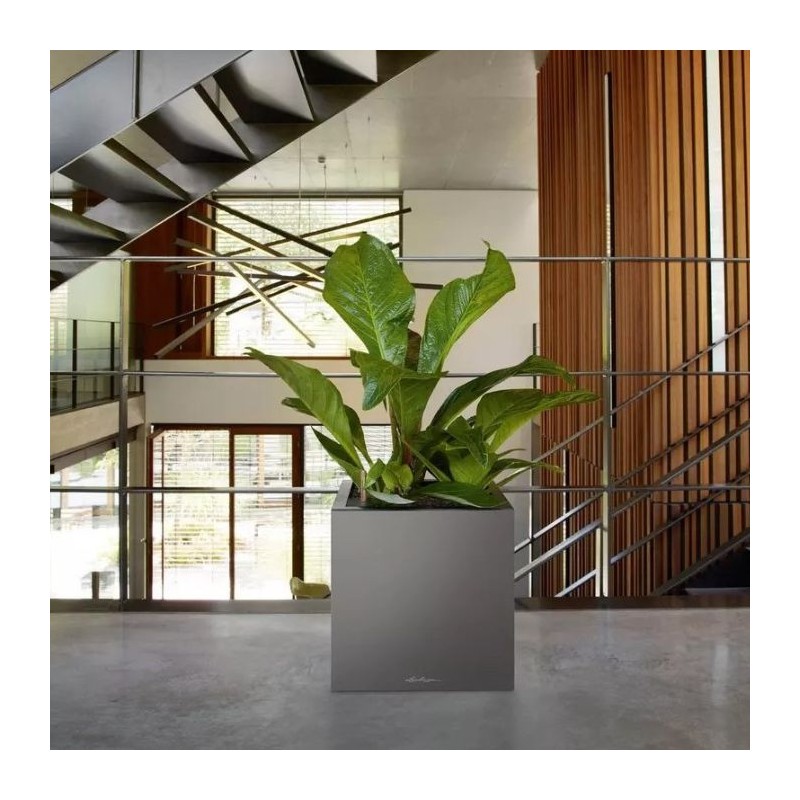 Macetero canto premium low Lechuza