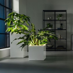 Macetero canto premium high LED Lechuza