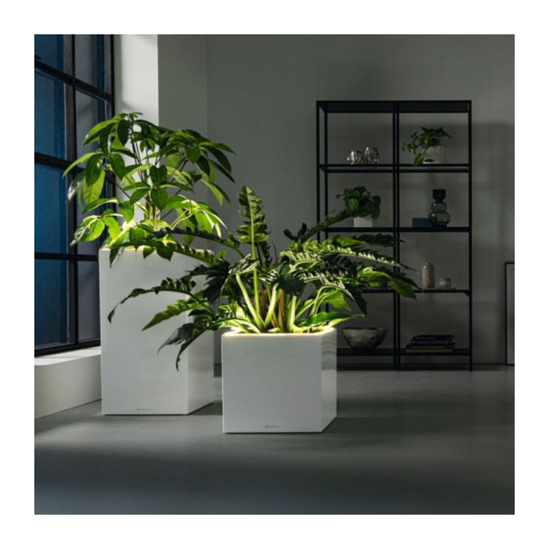 Macetero canto premium high LED Lechuza