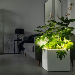 Macetero canto premium low LED Lechuza