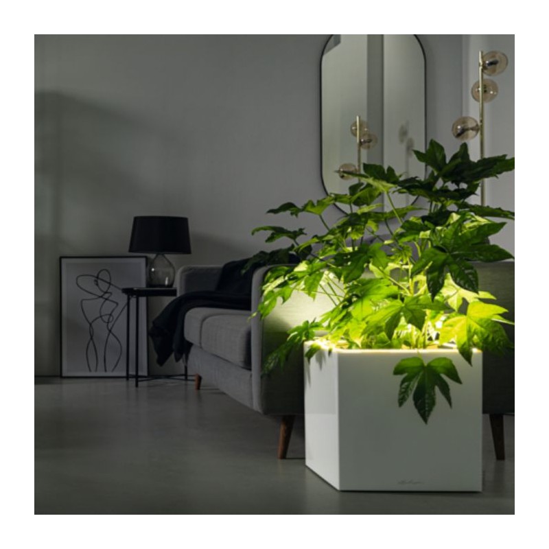 Macetero canto premium low LED Lechuza
