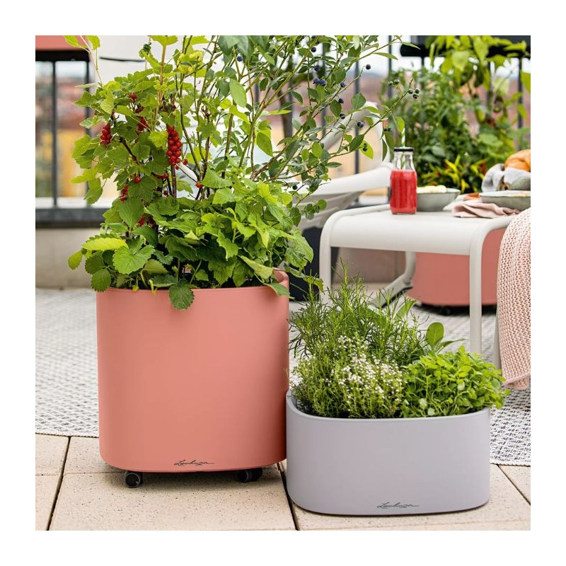 Macetero pila color stick Lechuza