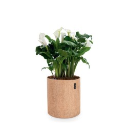 Macetero trendcover corcho