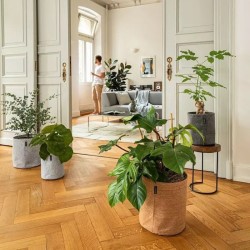 Macetero trendcover corcho Lechuza