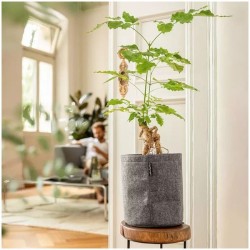 Macetero trendcover fieltro Lechuza