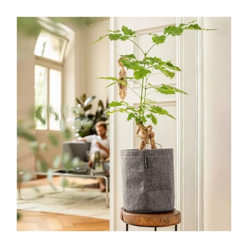 Macetero trendcover fieltro Lechuza