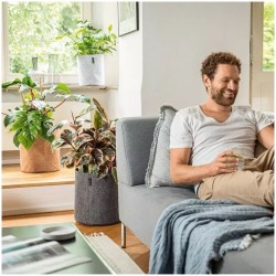 Macetero trendcover fieltro