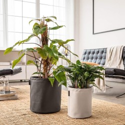 Macetero trendcover Lechuza