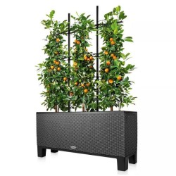 Trio Accesorios Lechuza