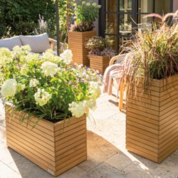 Macetero palo natural Lechuza