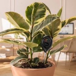 medidor humedad lechuza