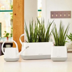 Regadera Yula Lechuza