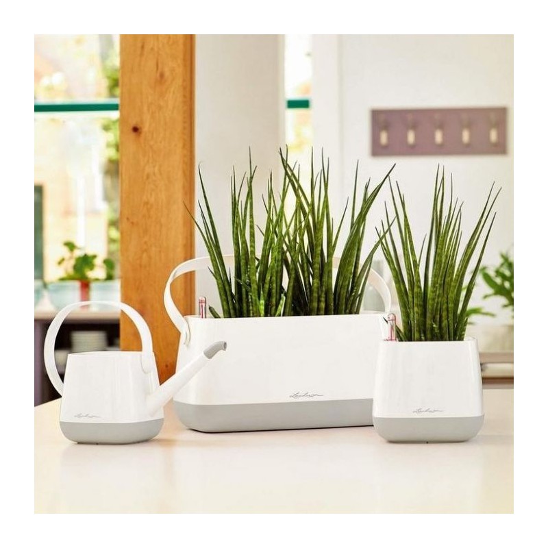 Regadera Yula Lechuza