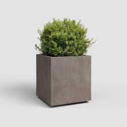 Cubo sydney artevasi