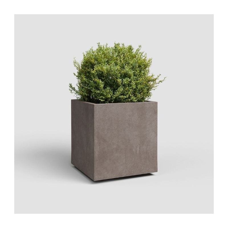 Cubo sydney artevasi