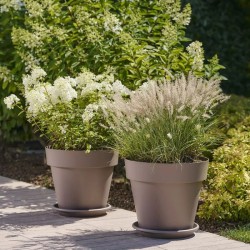 Maceta MITU 80 PACK...