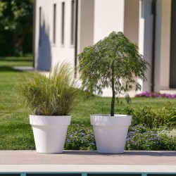 Maceta MITU 100 PACK...