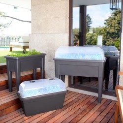 Huerto urbano venezia