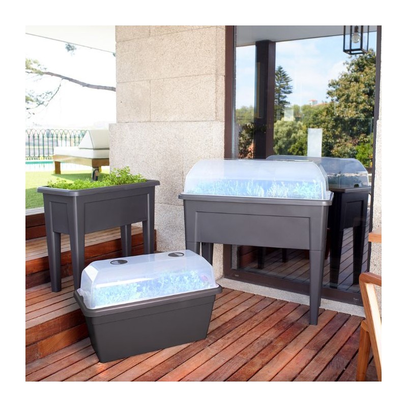 Huerto urbano venezia