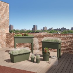 Tapa huerto urbano venezia