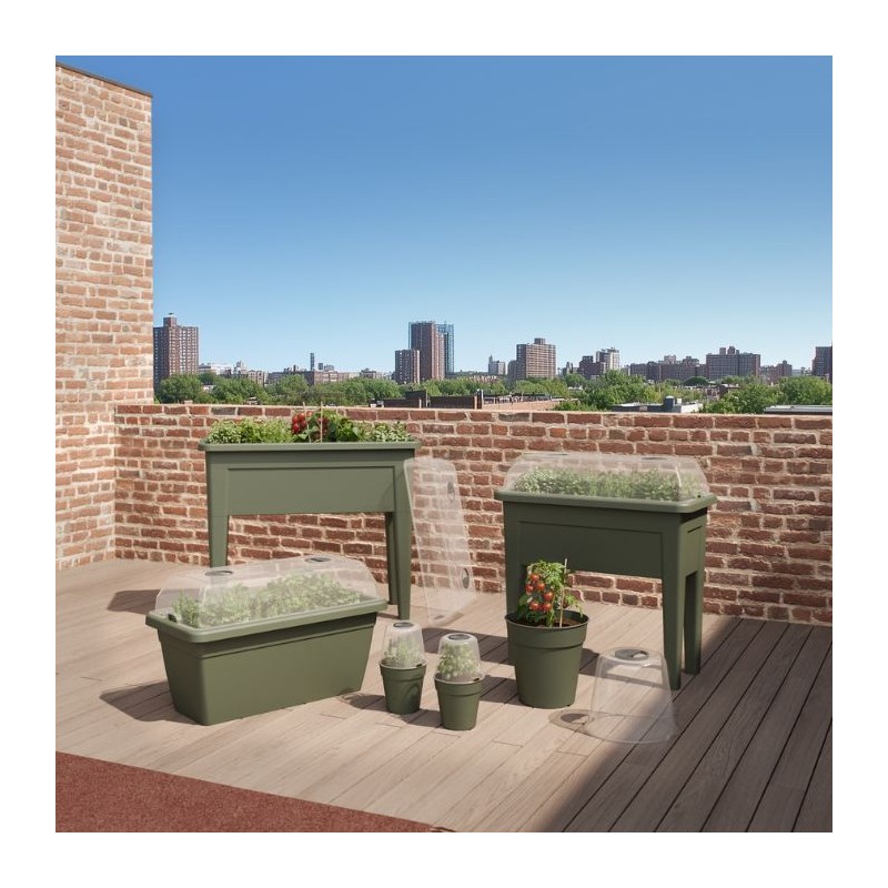 Tapa huerto urbano venezia