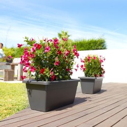 Jardinera Venezia XL