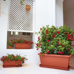 Jardinera Venezia XL - Artevasi