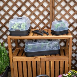 Bandeja huerto urbano Madagascar