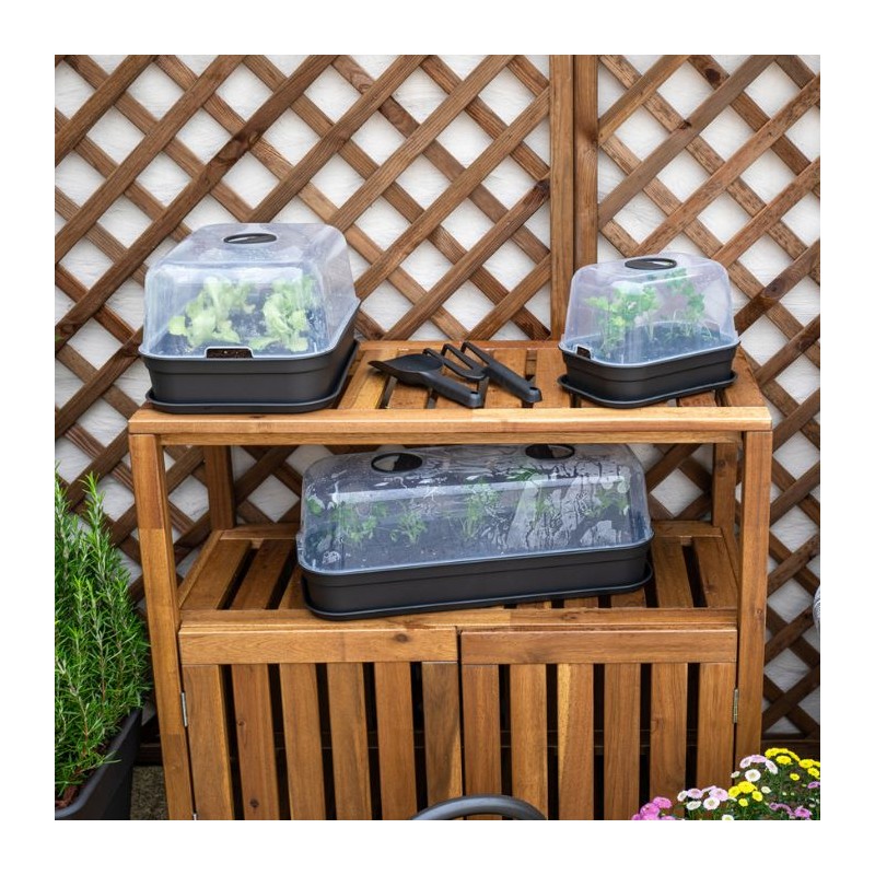 Bandeja huerto urbano Madagascar