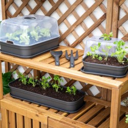 Plato huerto urbano Madagascar