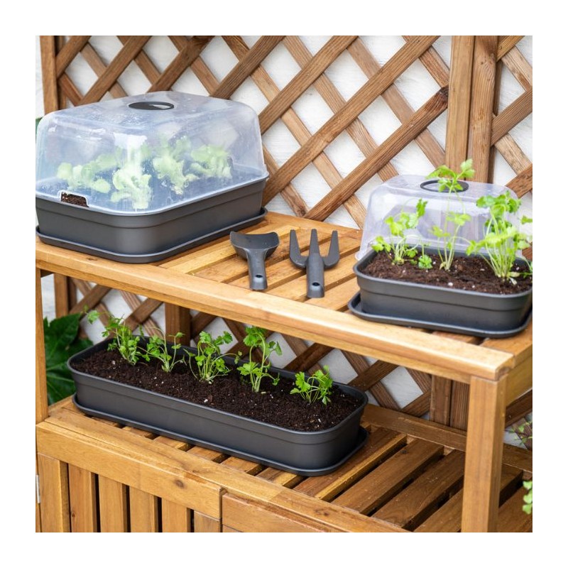 Plato huerto urbano Madagascar