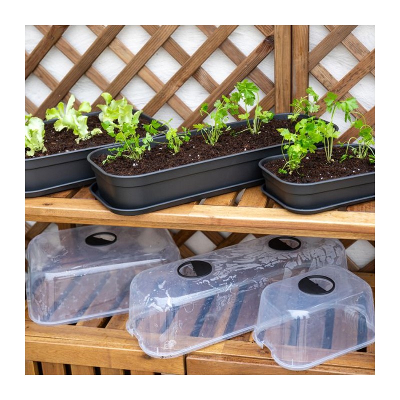 Tapa huerto urbano Madagascar