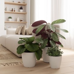 Maceta San Remo - artevasi