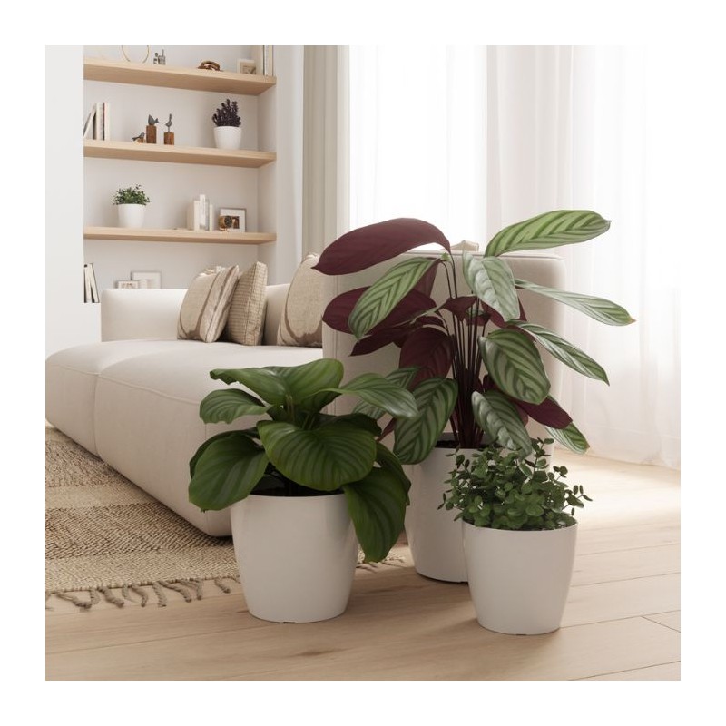 Maceta San Remo - artevasi