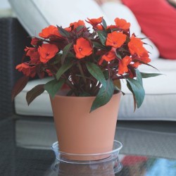 Plato redondo - Artevasi