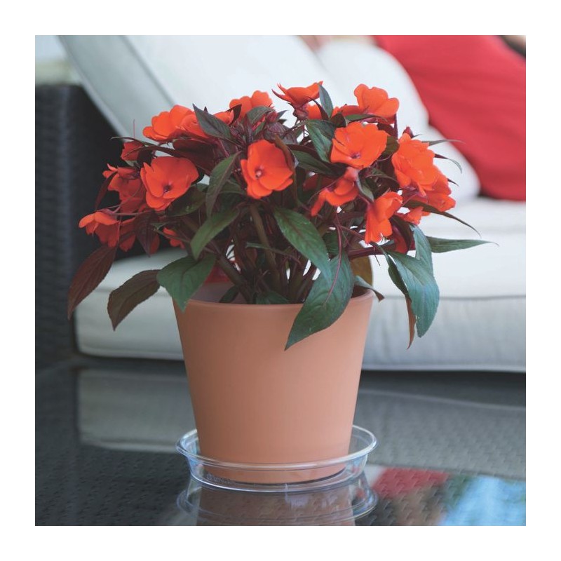 Plato redondo - Artevasi