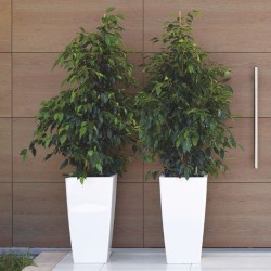 Maceta Pisa Autoriego - Artevasi