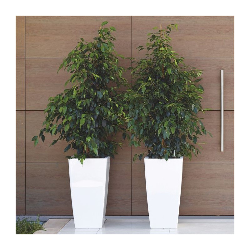 Maceta Pisa Autoriego - Artevasi