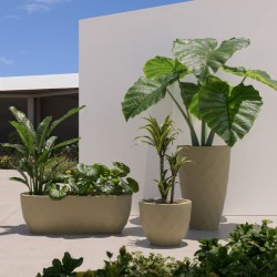 Vases jardinera basic JM Ferrero