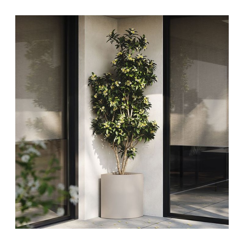 Macetero angular simple lacado