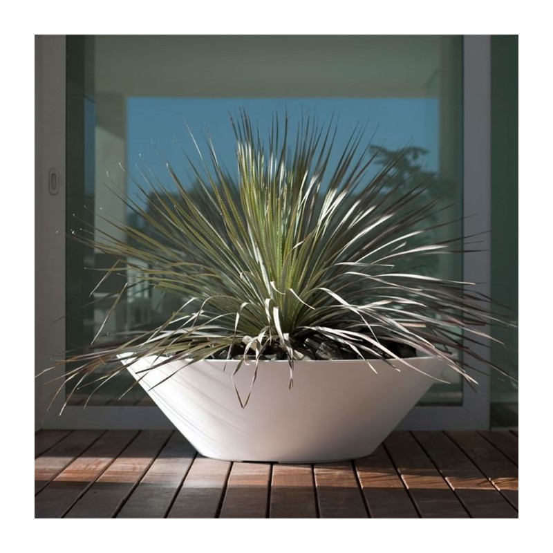 Macetero centro simple lacado