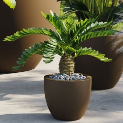 Macetero cuenco simple -...