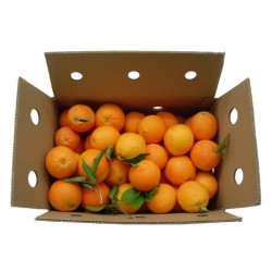 Naranja de Mesa Caja 10 y 15 Kg