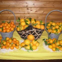 Naranja de Mesa y Mandarina
