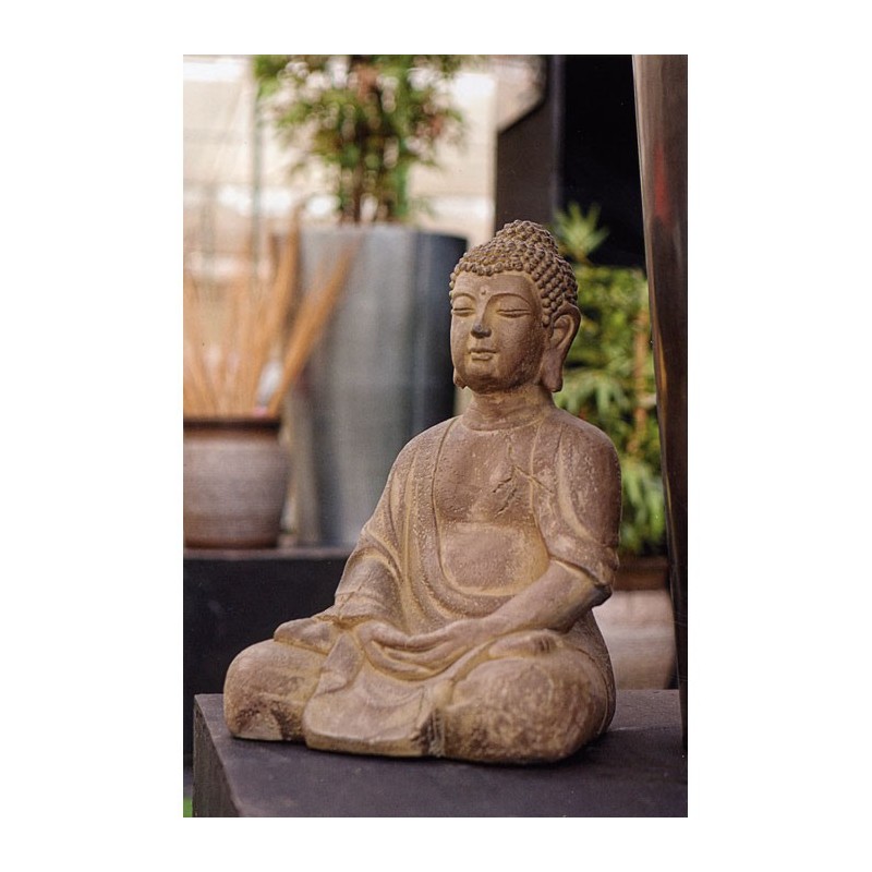 Buddha Viro