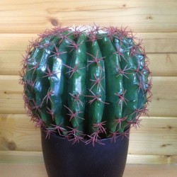 Cactus artificial ferocactus